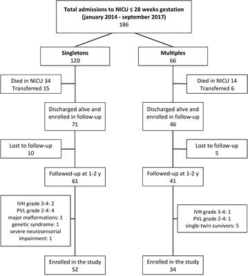 Neurodevelopmental Outcome and Adaptive Behavior in Preterm Multiples and Singletons at 1 and 2 Years of Corrected Age